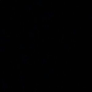 Meet your Posher, Juliana